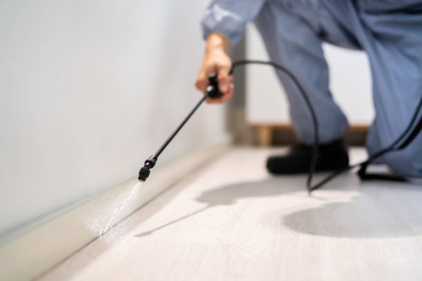 Licensed Mosquito Control service in Hurlburt Field, FL - Show Me Pest Control