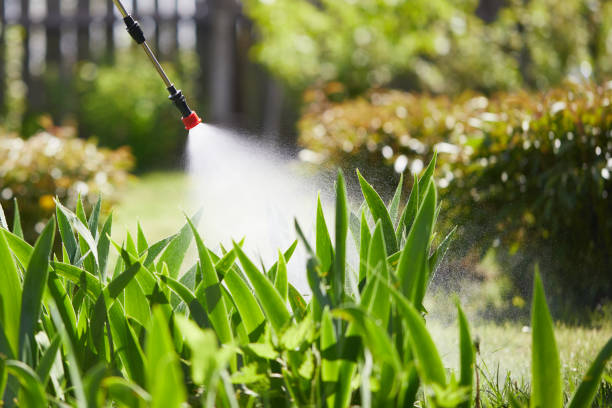 24/7 Emergency Mosquito Control experts in Hurlburt Field, FL